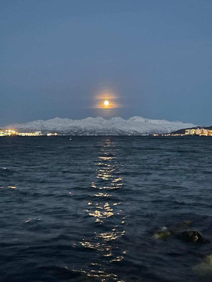 Appartment Close To The City, Ocean And Mountains -Tromsø Extérieur photo