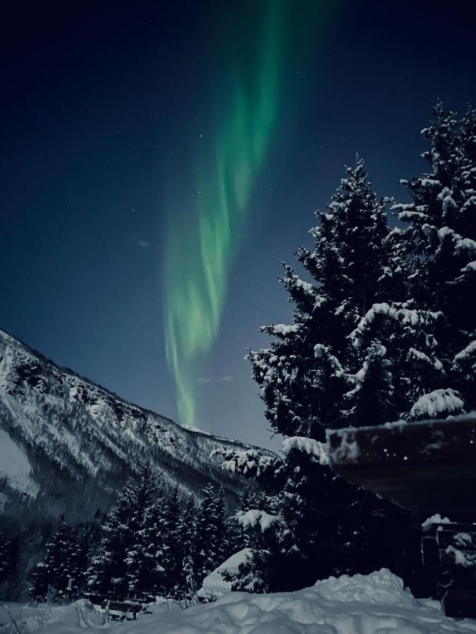 Appartment Close To The City, Ocean And Mountains -Tromsø Extérieur photo